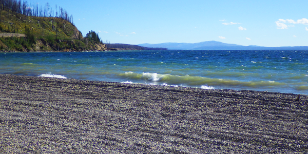 The shore of Yellowstone Lake