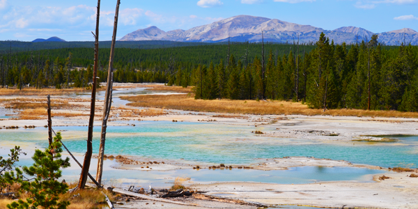 A view of the Norris Geyser Basin 
