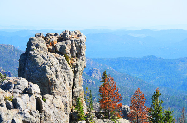 A view from the top of Harney Peak in the Black Hills of South Dakota
