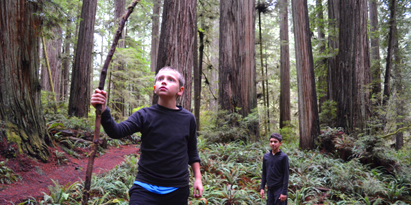 unruly-grownups-lifestyle-design-fulltime-rv-travel-redwoods