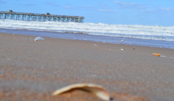 Flagler Beach, Florida